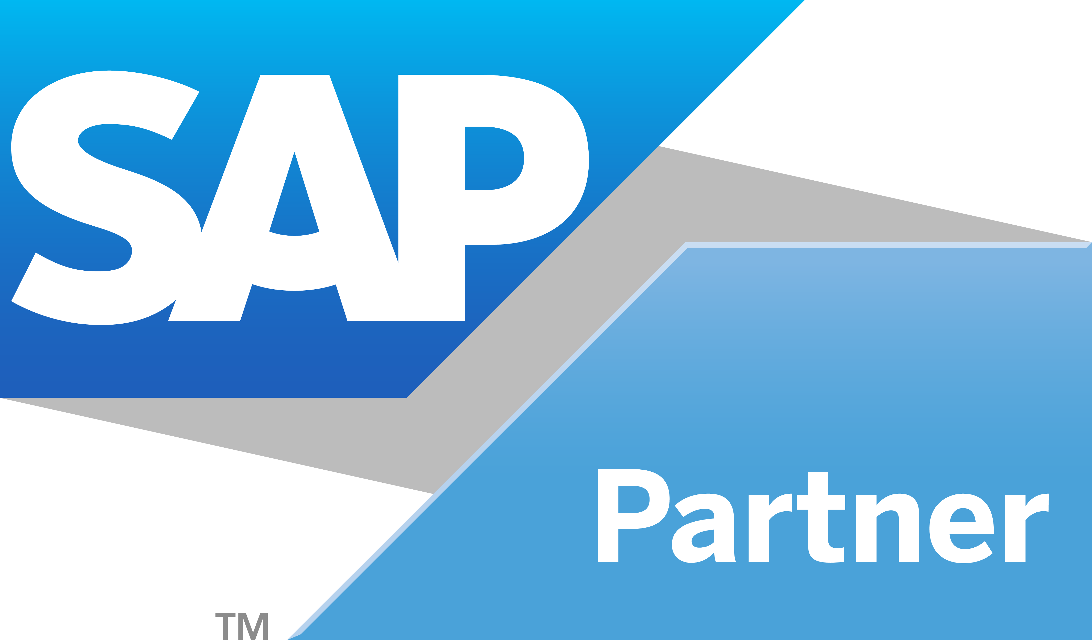 SAP-partner-logo